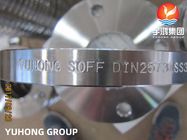Выскальзывание DIN2573 ASTM A182 F316L на фланцах фланцов выкованных нержавеющей сталью