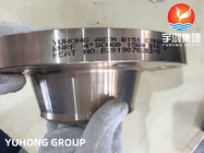 ASTM B151 C70600 Сплав медь-никель сварной шеи с поднятым фасадом фланца ASME B16.5