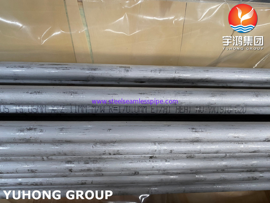 ASME SA789 SAF 2205 / UNS S32205 Дуплексный стальной теплообменник U Bend Tube
