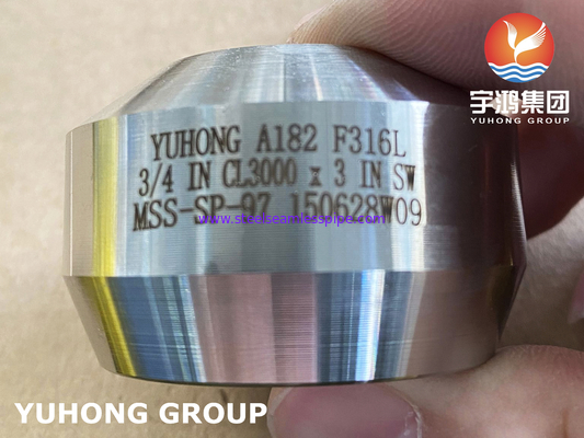 SS Weldolet A182 F316 / F316L Выходной ковальный фитинг из нержавеющей стали