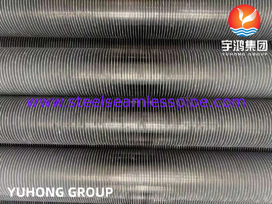 ASTM A269 TP304L Экструзированная трубка из нержавеющей стали для кальдеров