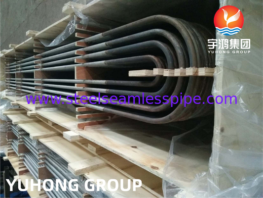 ASME SA213 TP904L UNS NO8904 Нержавеющая сталь U Bend Tube 19.05 MM X 1.65 MM для теплообменника