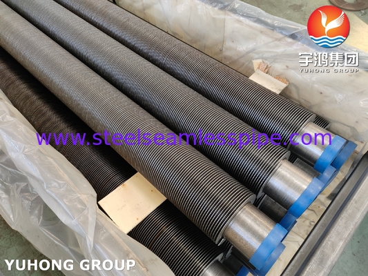 ASTM A106 GR.B Hfw Твердосварная Cs Паровая печь