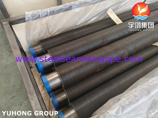 ASTM A106 GR.B Hfw Твердосварная Cs Паровая печь