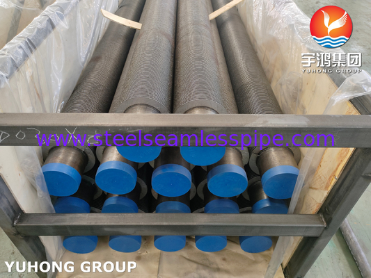 ASTM A106 GR.B Hfw Твердосварная Cs Паровая печь