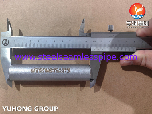 ASME B36.10 Трубопроводный сосок ASTM A790 UNS S31803 Бесшовный двойной стальной сосок