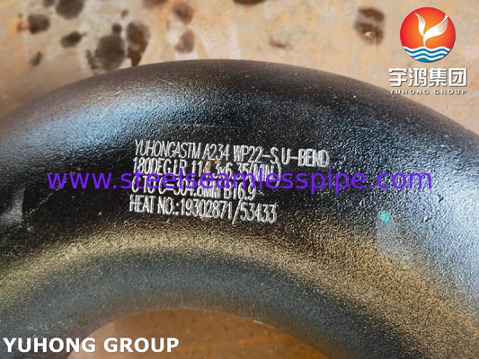 АСТМ A234 WP22 180° LR U BEND