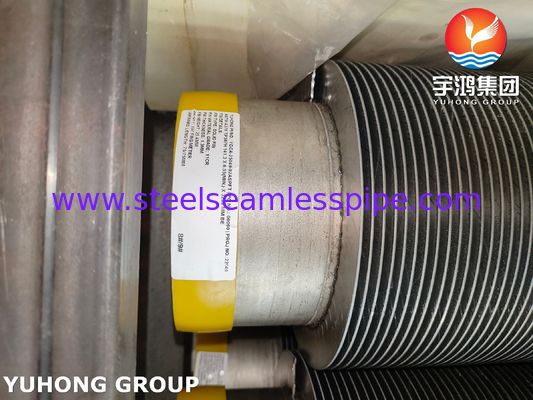 ASTM A376 TP347H сплошная спиральная высокочастотная сварка (HFW) оребренная труба с 11Cr