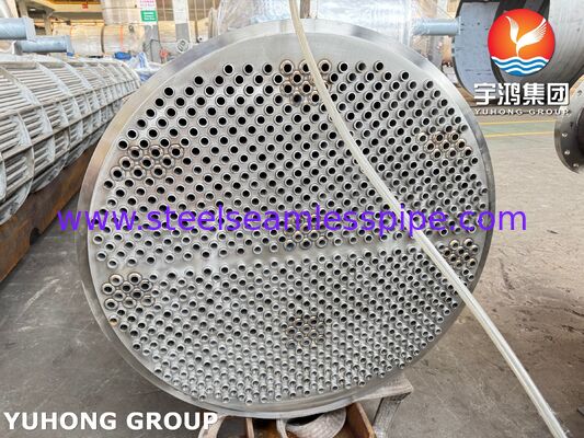 ASME SA213 TP316L Нержавеющая сталь теплообменник трубная группа с коррозионностойкой конструкцией для прямого замены ядра