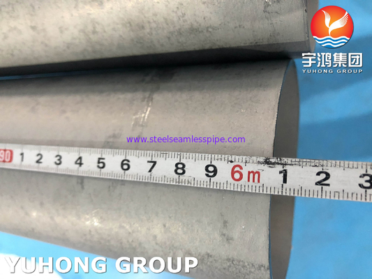 ASTM A789 UNS S32205 Бесшовные двойные трубы из нержавеющей стали для опреснения морской воды