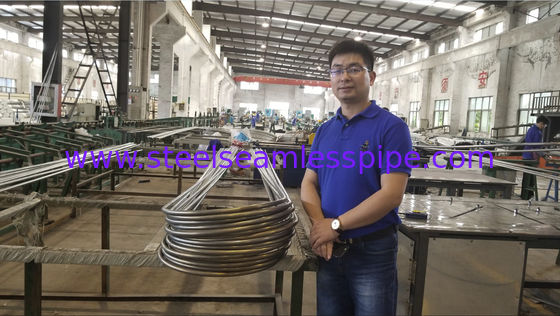 Пробка нержавеющей стали, пробка теплообменного аппарата, ASME SA213 TP304/304L, ASTM A249/A249M, замариновала/обожженный